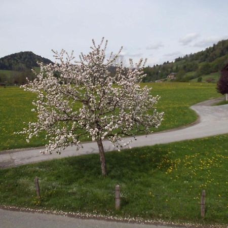 Ferienwohnung Annele Hittisau Zewnętrze zdjęcie