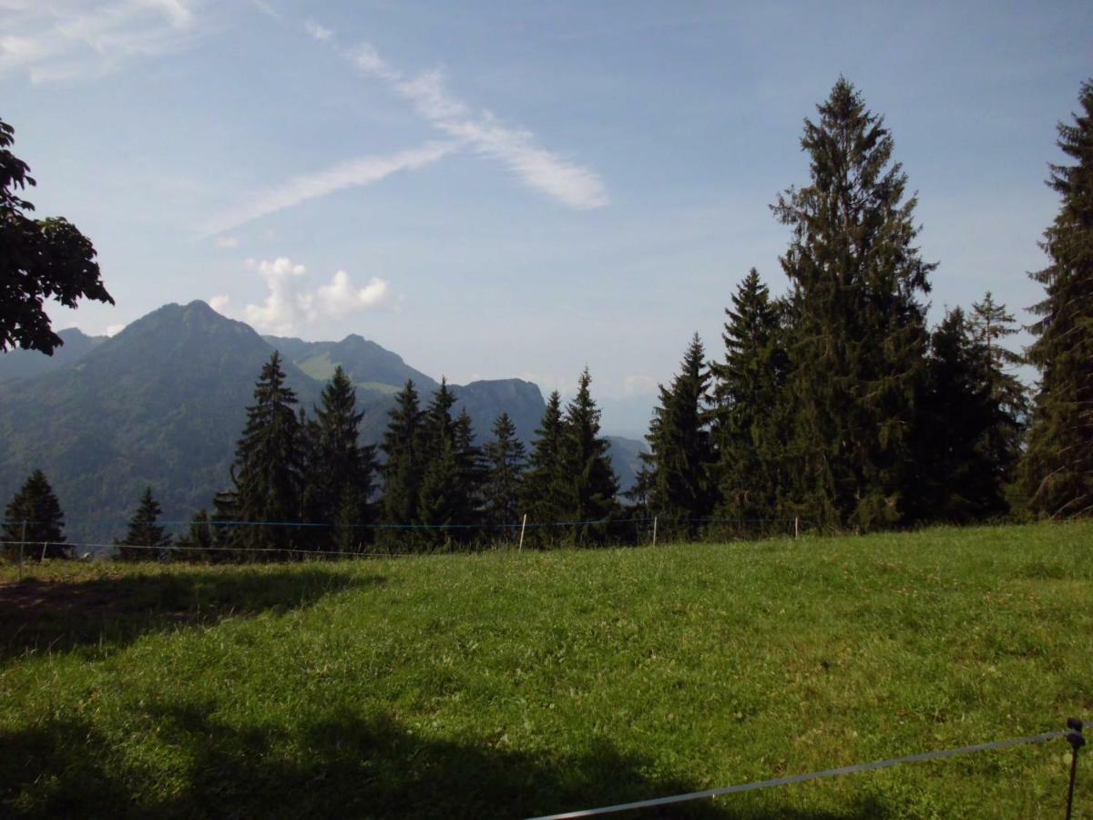 Ferienwohnung Annele Hittisau Zewnętrze zdjęcie
